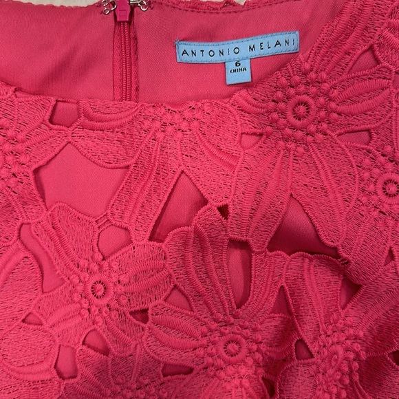 ANTONIO MELANI CORA $169 LACE SHEATH DRESS 6 - Picture 3 of 9